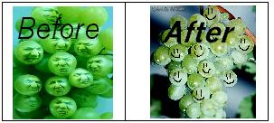 grapes.jpg